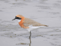 Bang Pu Recreational Centre